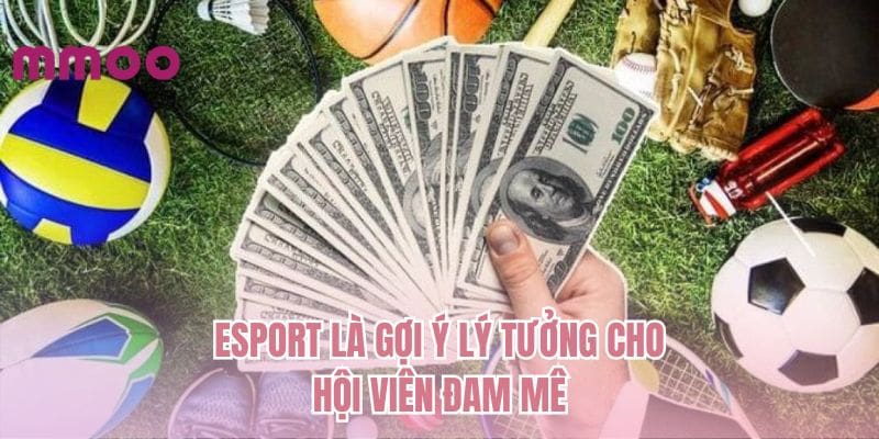 Esport là gợi ý lý tưởng cho hội viên đam mê